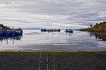 Barcos de pescadores II