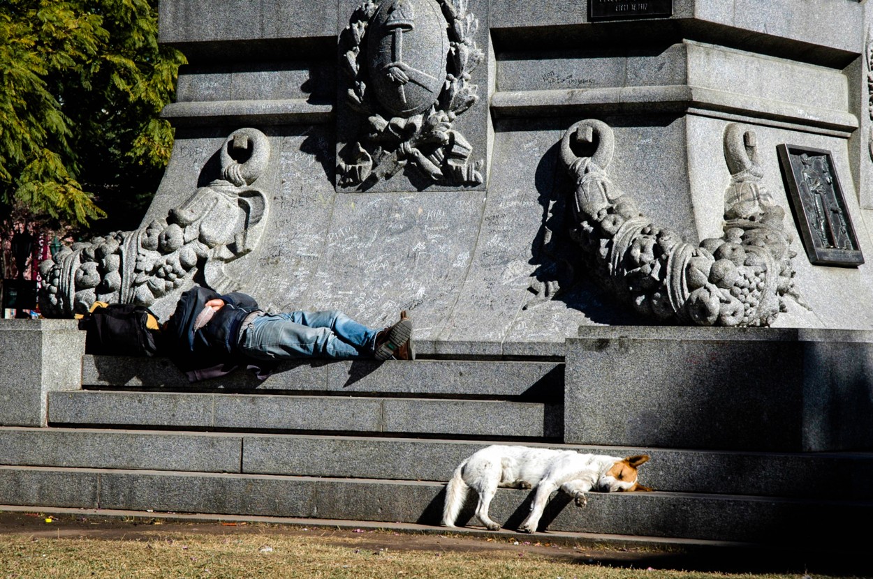 Siesta de Amigos