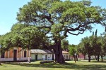 La plaza del pueblo