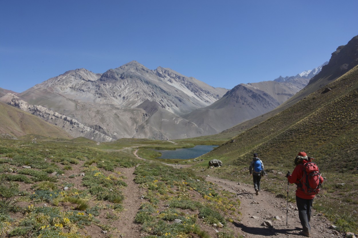 Un largo camino a casa