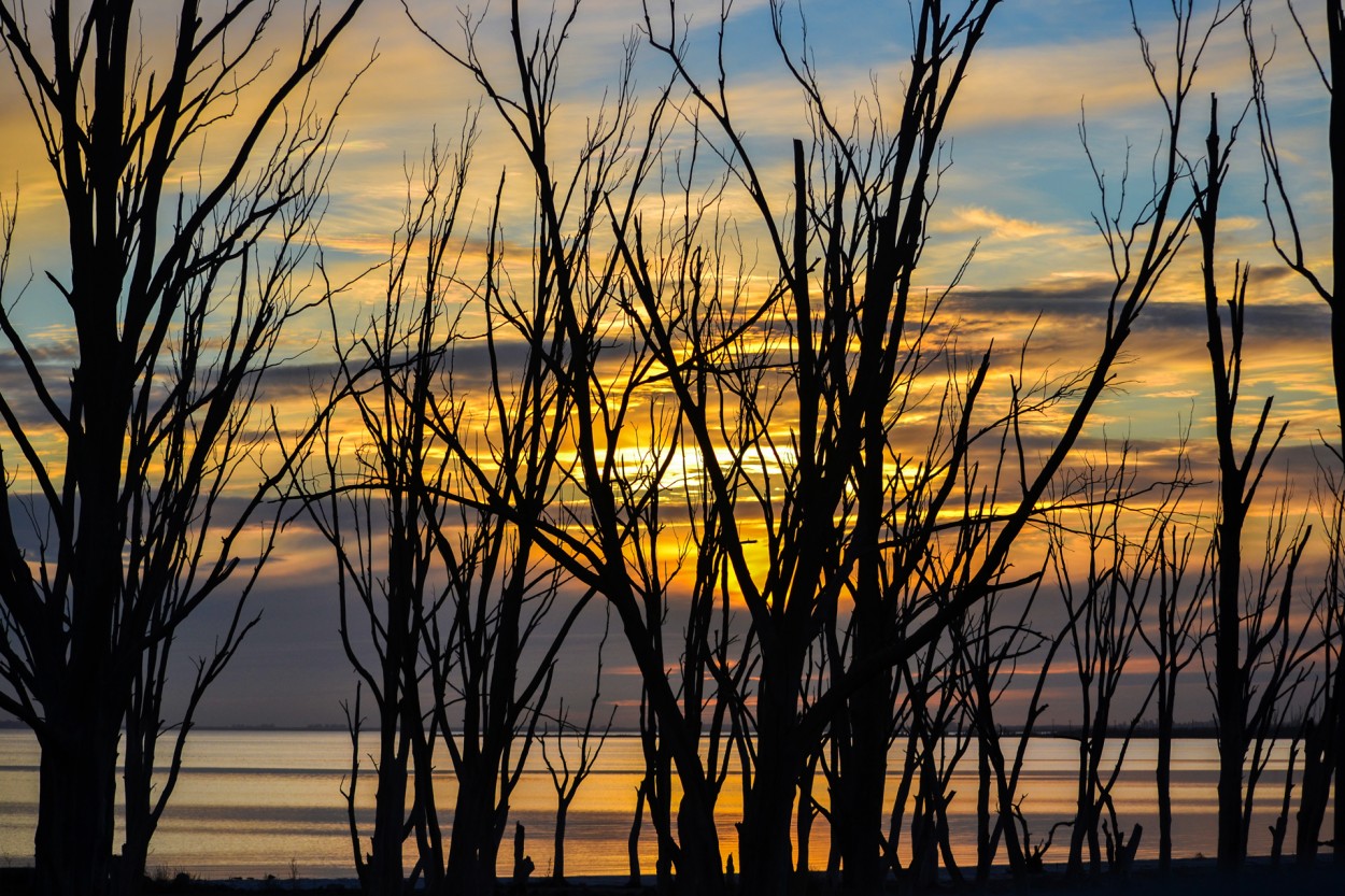 ltimas luces en Epecuen