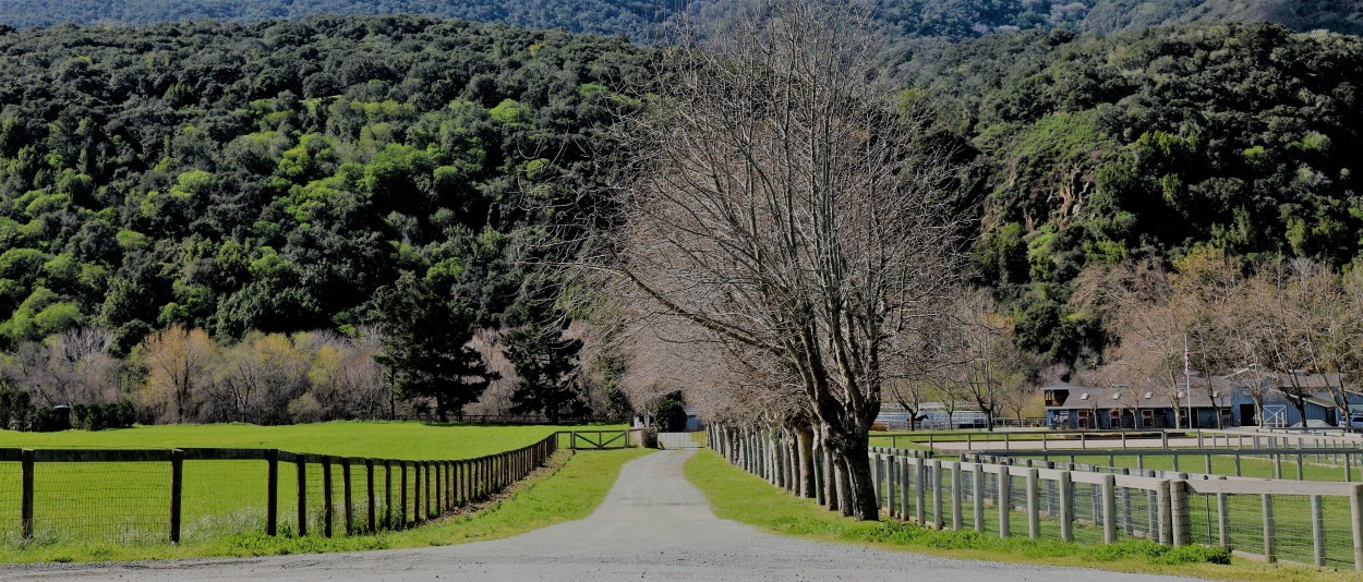 Entrada Magistral