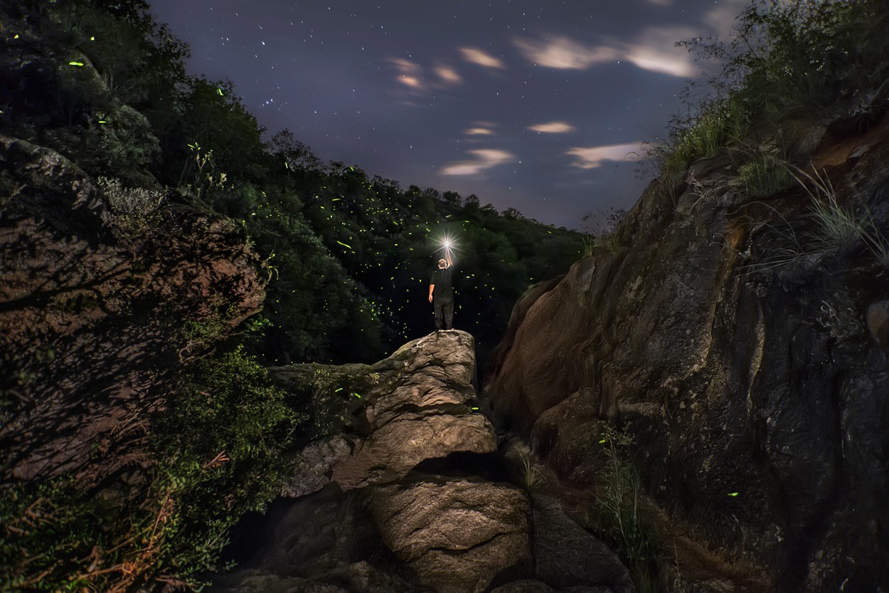 una noche de luciernagas