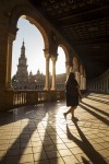 Sombras sevillanas