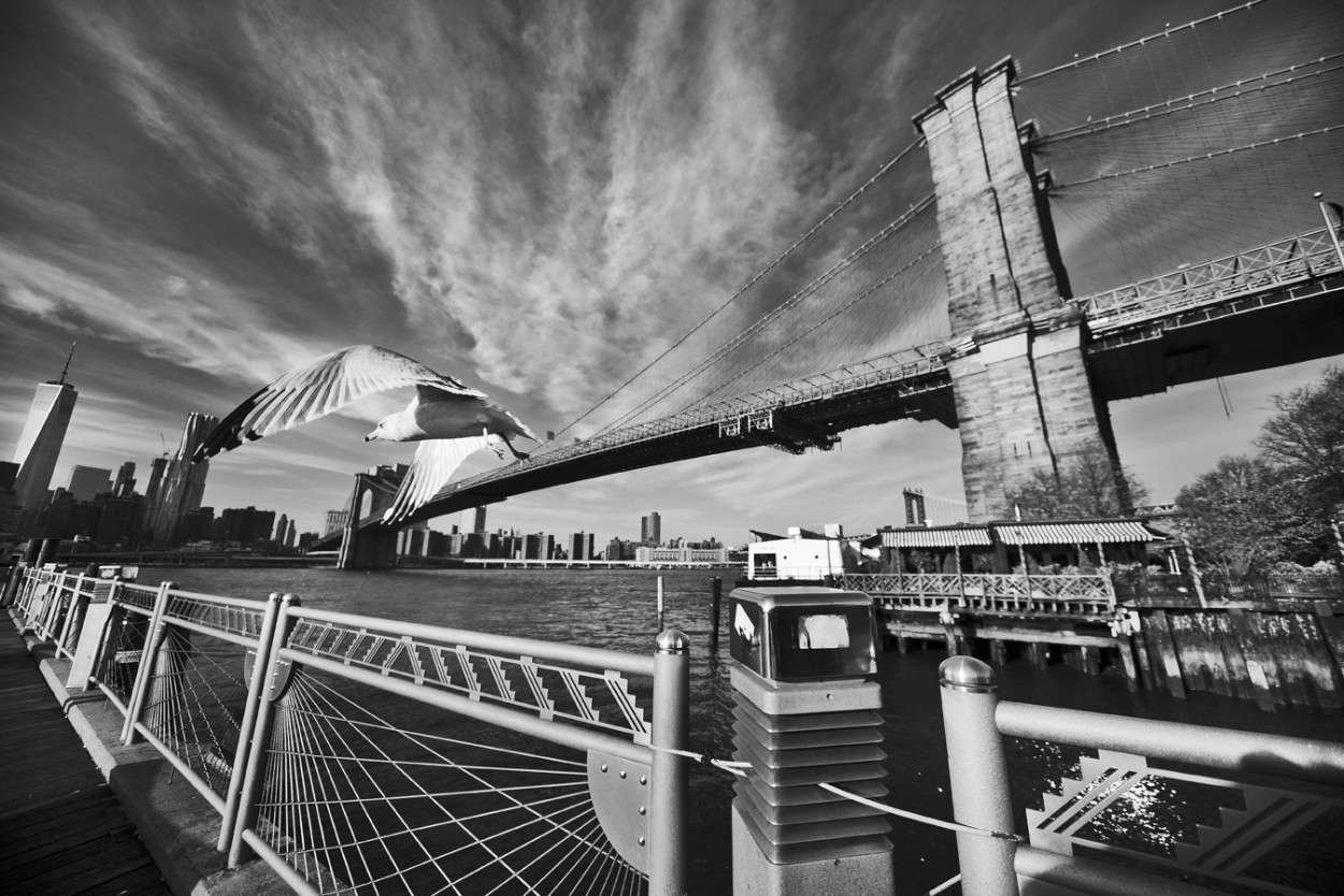 Panoramica Brooklyn Bridge