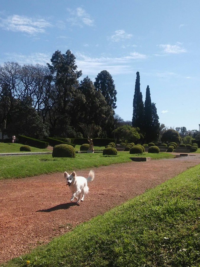 Lindo da para correr