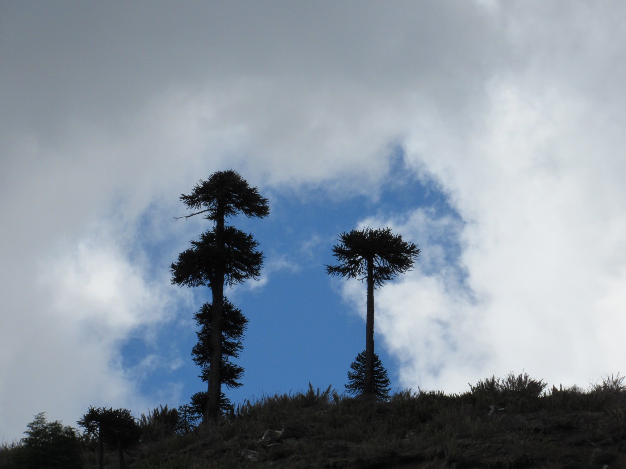 Ventana al Cielo