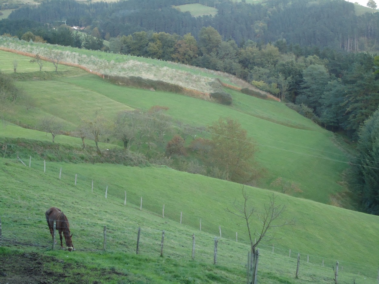 LA PRADERA