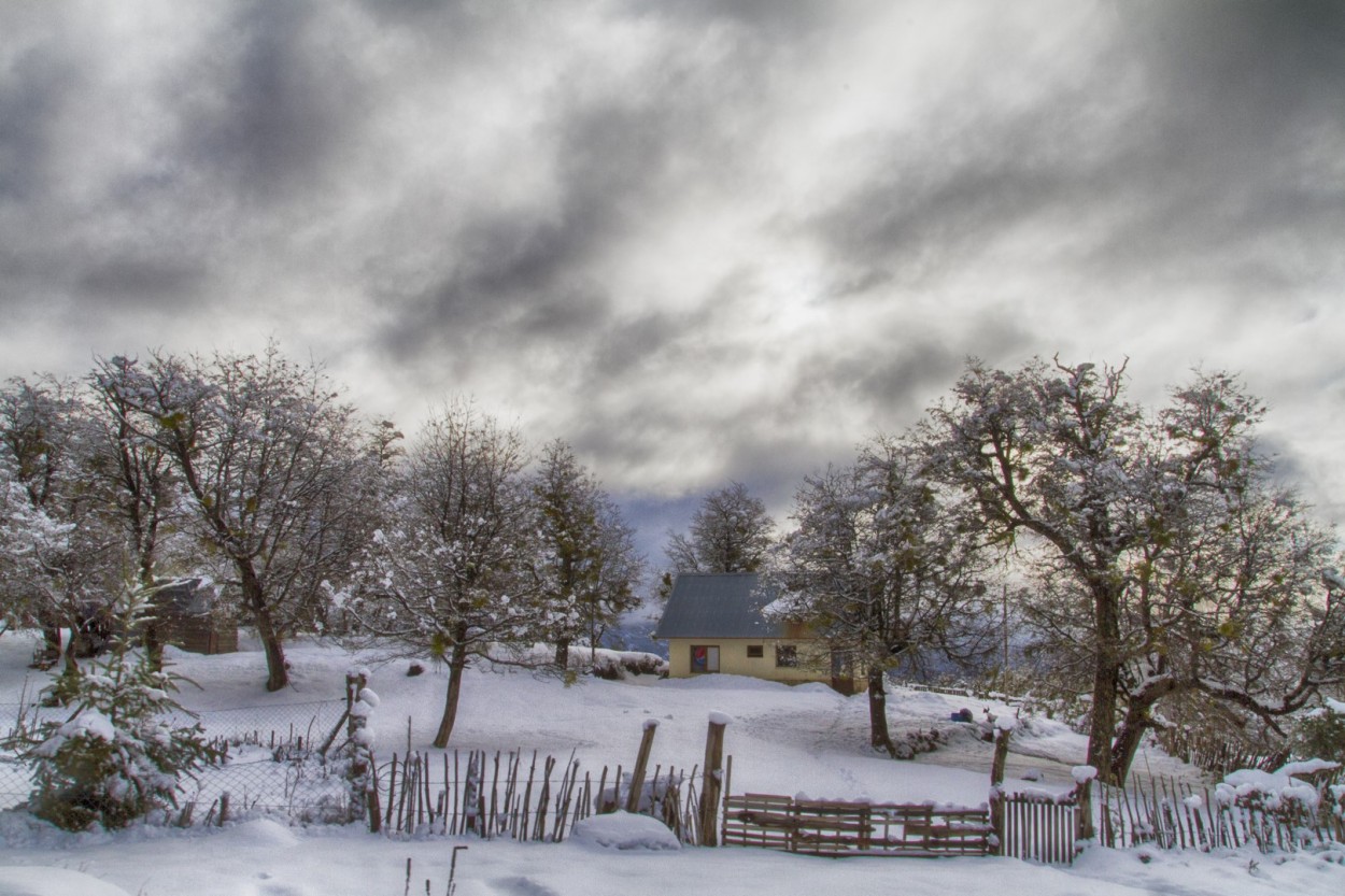 Albo invierno