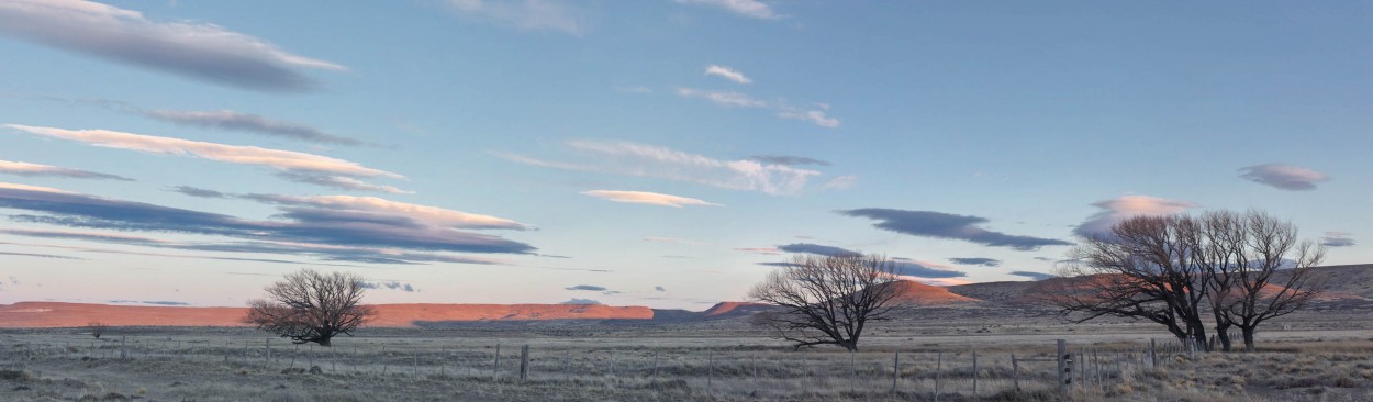 Estepa Patagnica