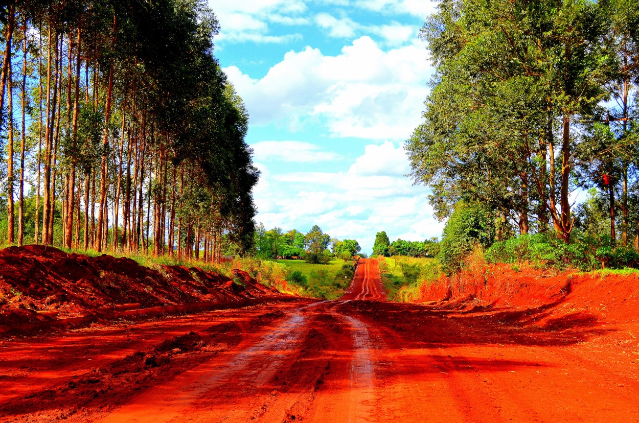 Tierra Roja