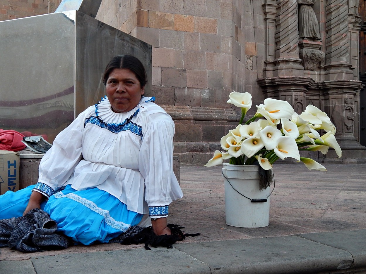 La vendedora de calas