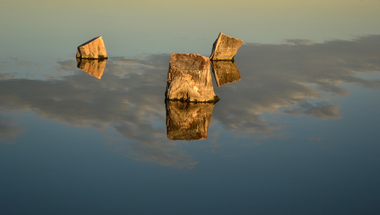 Reflejos