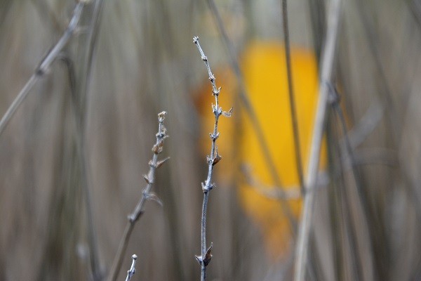 invierno en el sur