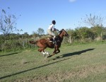 Tierra de Gaucho