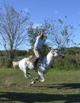 Caballo en el Aire