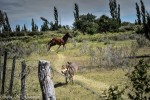 Aires de libertad