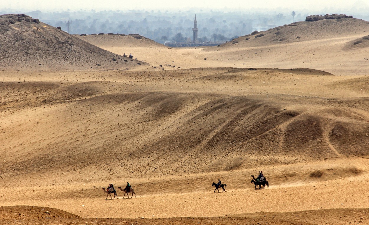 Disfrutando el desierto