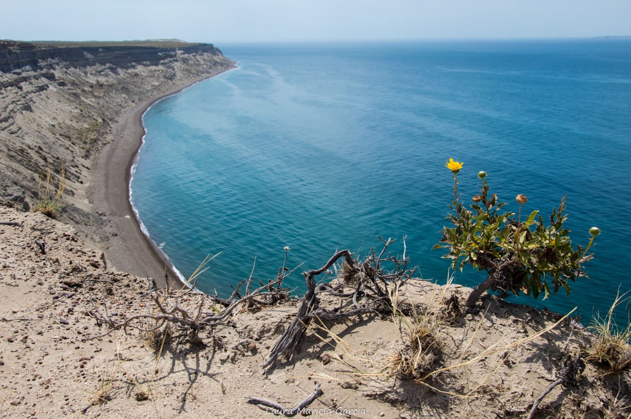 Punta Ninfas, Chubut, Argentina