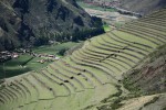 Terrazas (Peru)