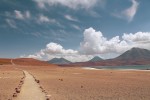 Sendero (San Pedro de Atacama, Chile)