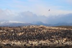 La masa (Ushuaia, Argentina)