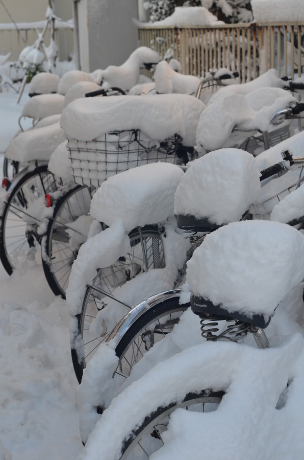 Japn, Hoy voy en bici al trabajo