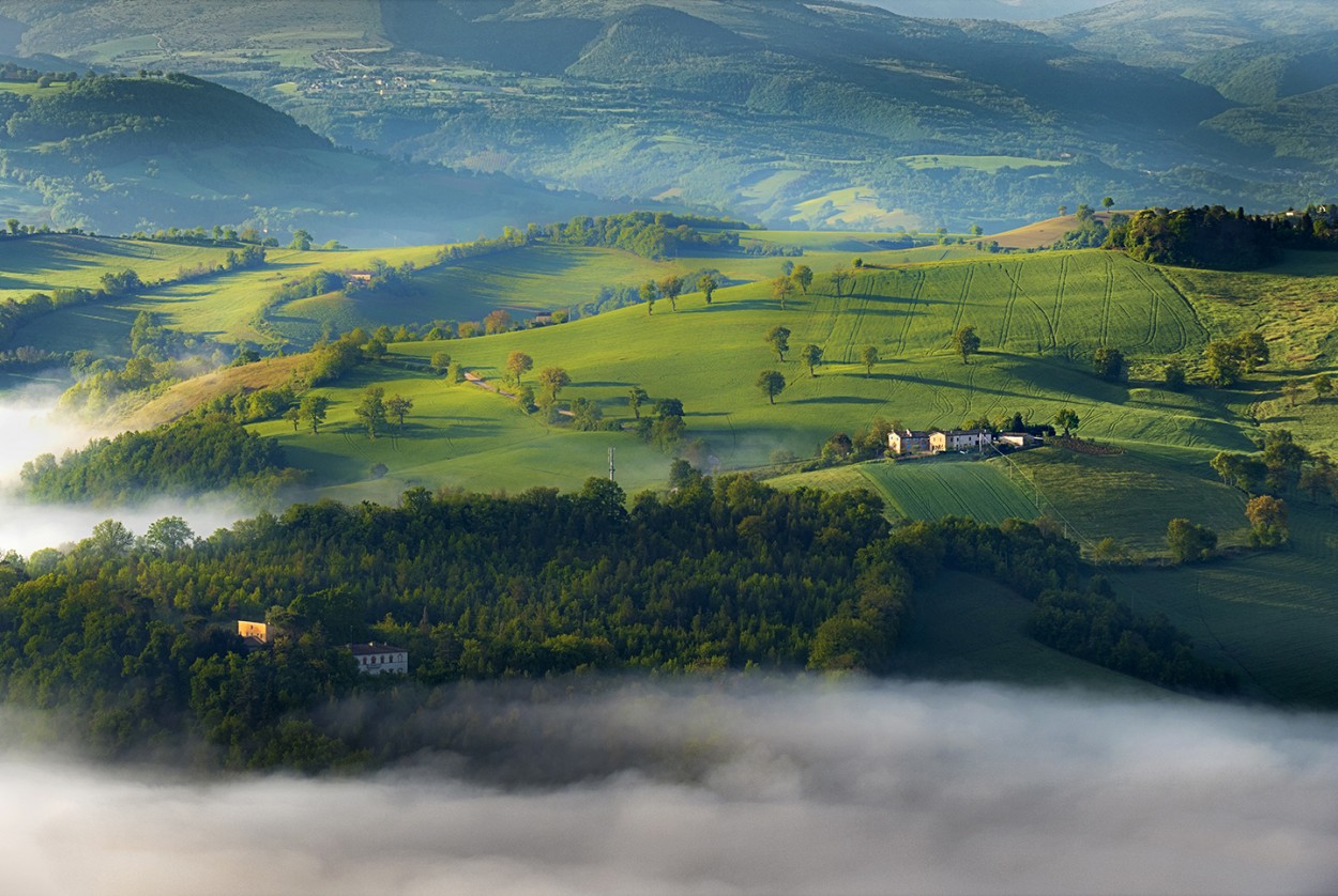 Luz y niebla