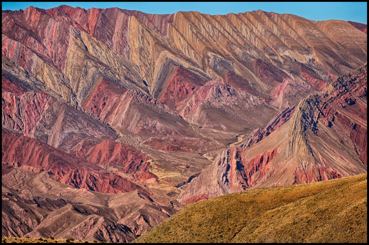 Paleta de colores