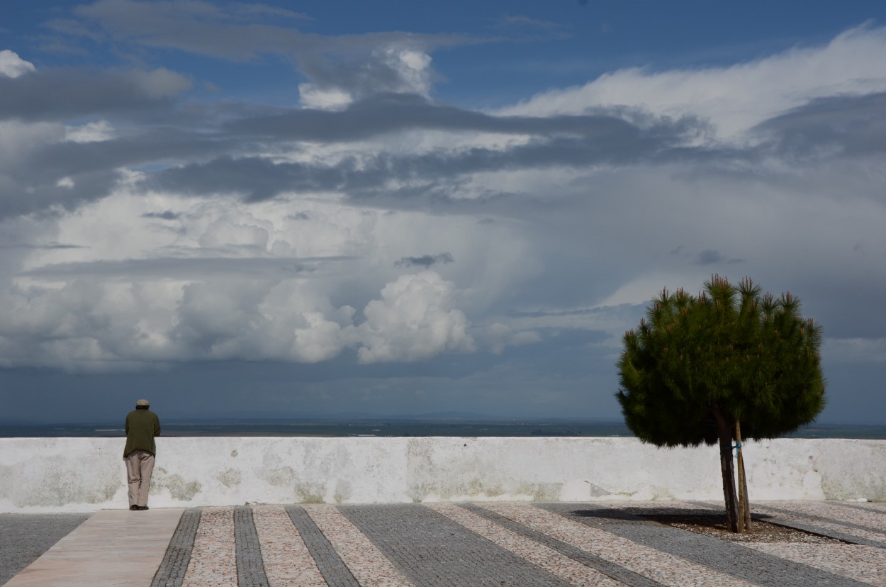 La tarde y los pensamientos