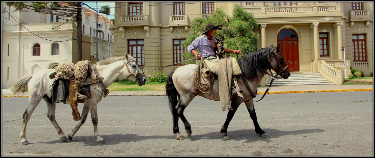 EL CIRUJA