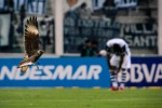 sobre volando el Estadio Kempes