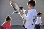 En la Plaza con las Palomas