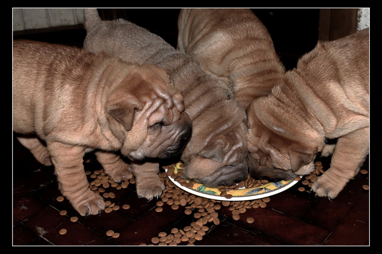 Hora de Almorzar