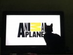 animal planet