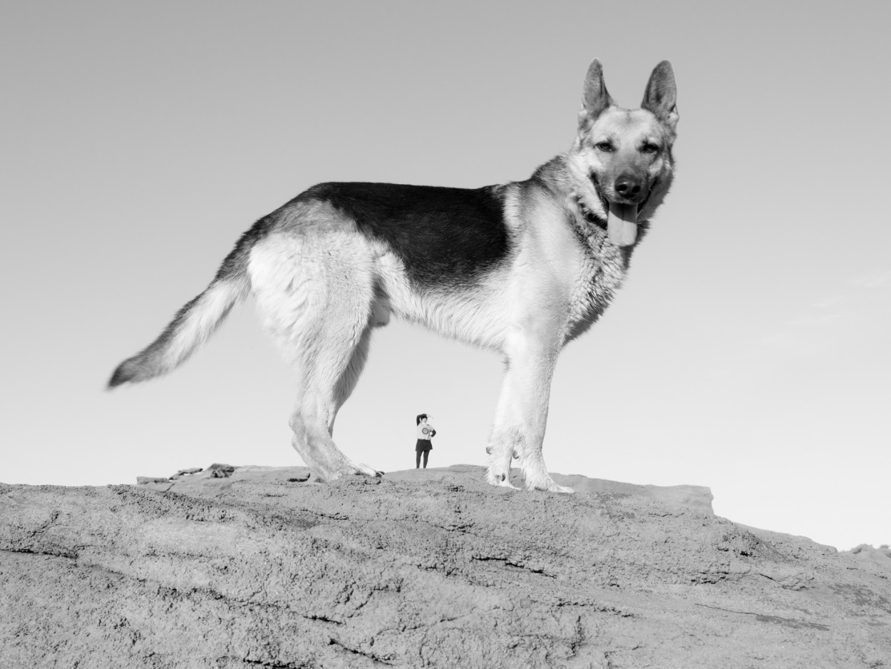 Isla de Perros