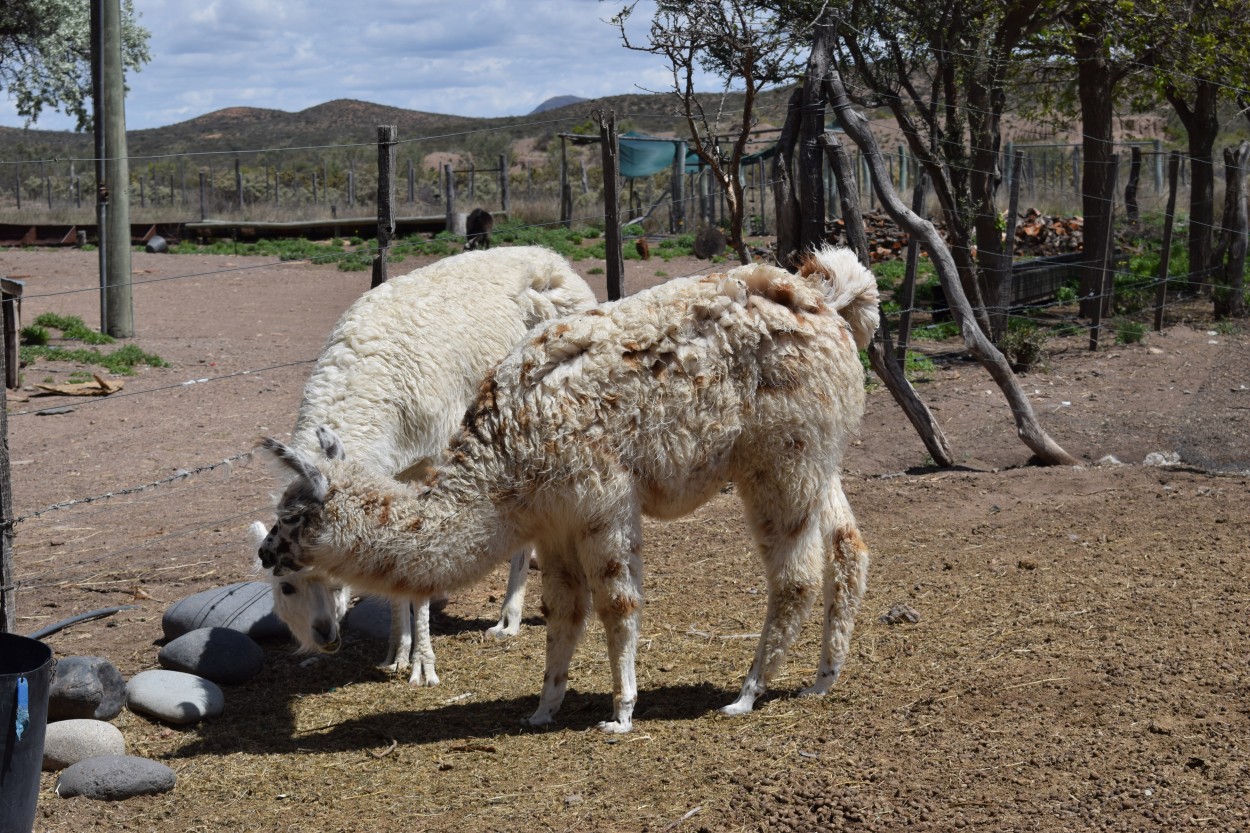 Madre e Hija