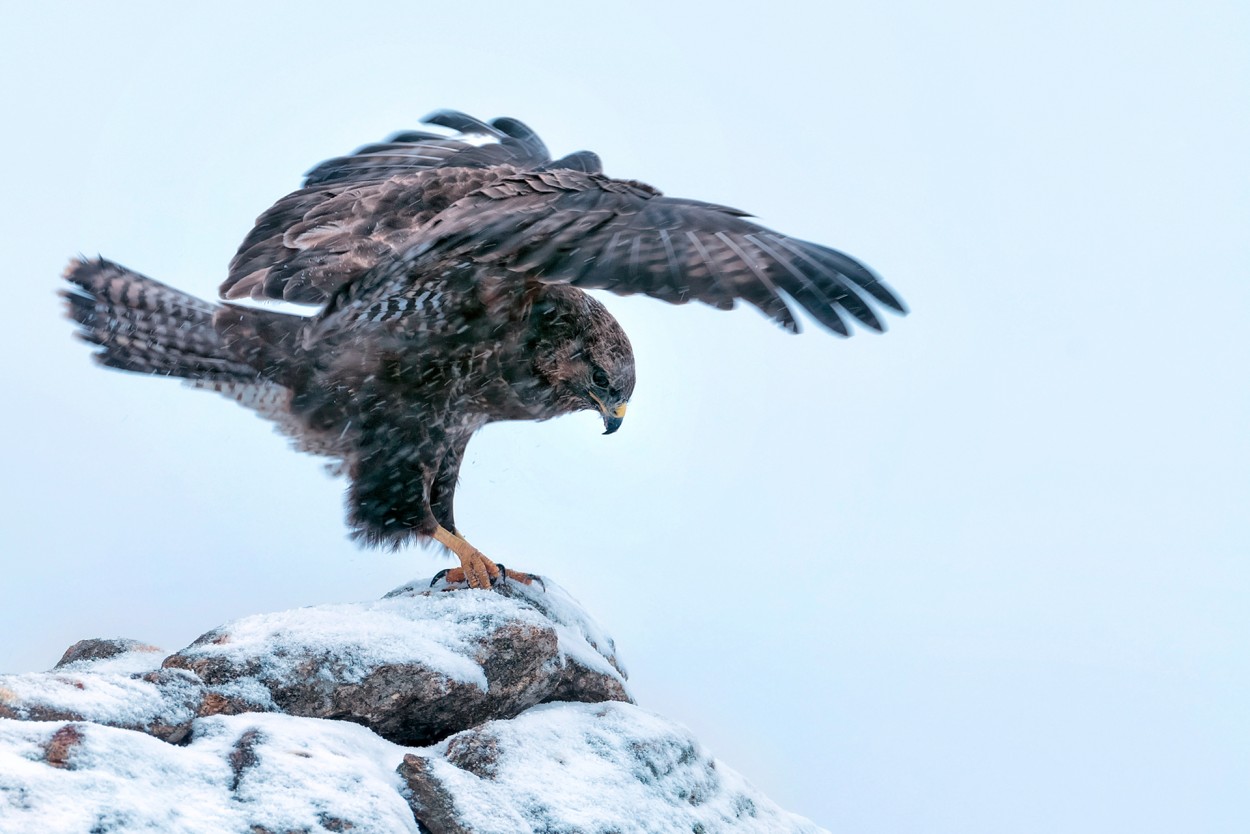 Contra viento y nieve