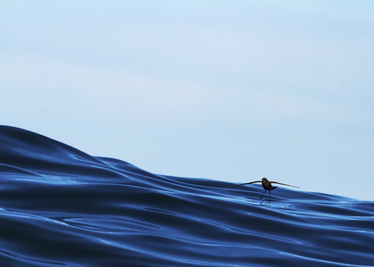 Azul profundo