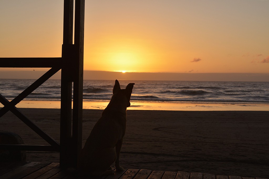 un bello despertar