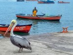 esperando el almuerzo