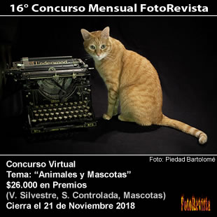 14° Concurso Mensual FotoRevista