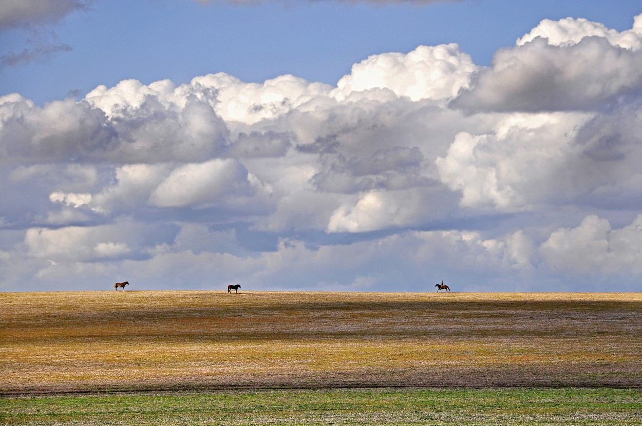 Minimalismo campestre