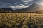 Atardecer en el Lanin