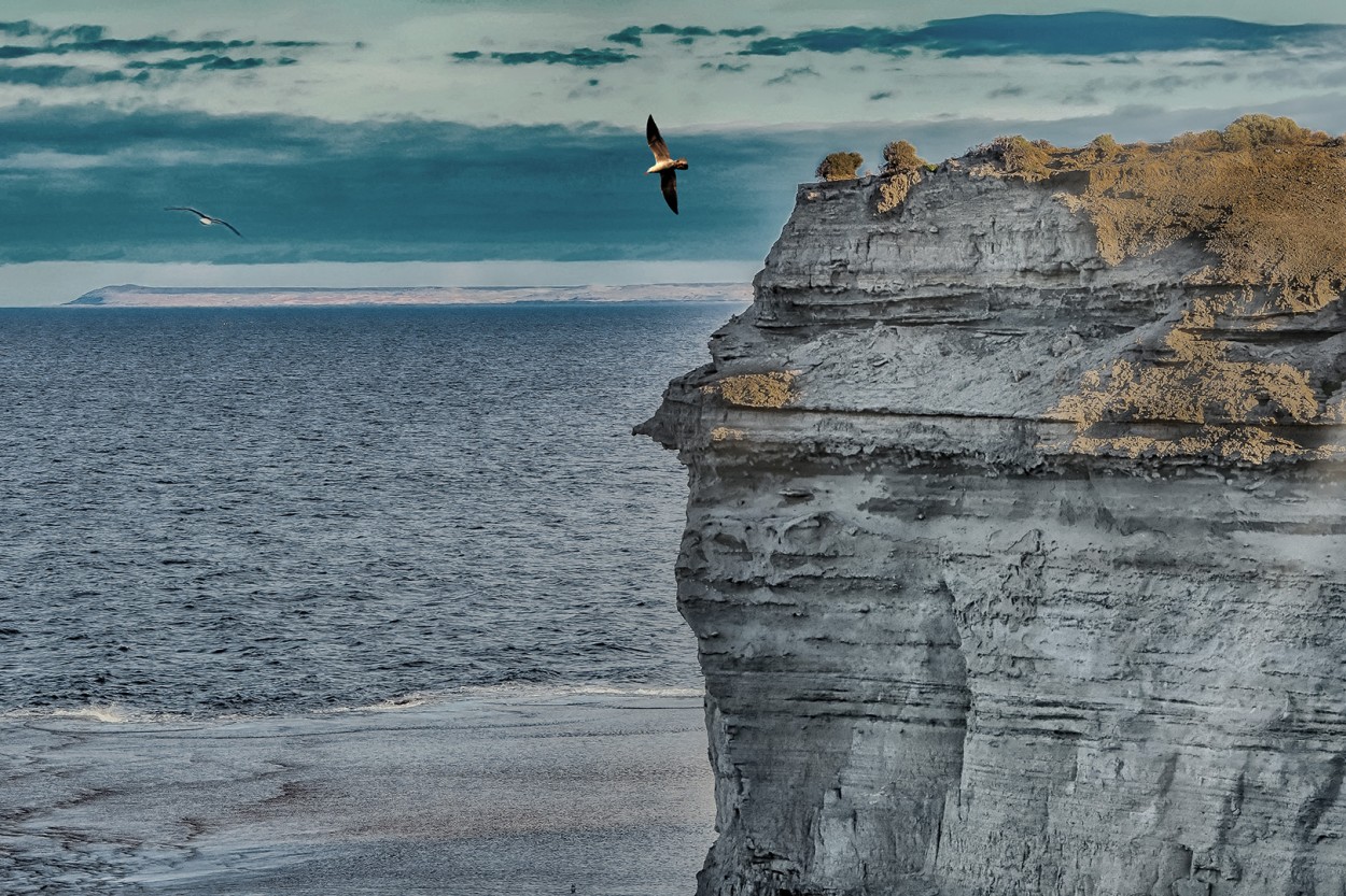 Acantilado. Puerto Madryn