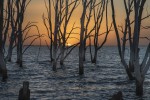 Atardecer en Epecuen.