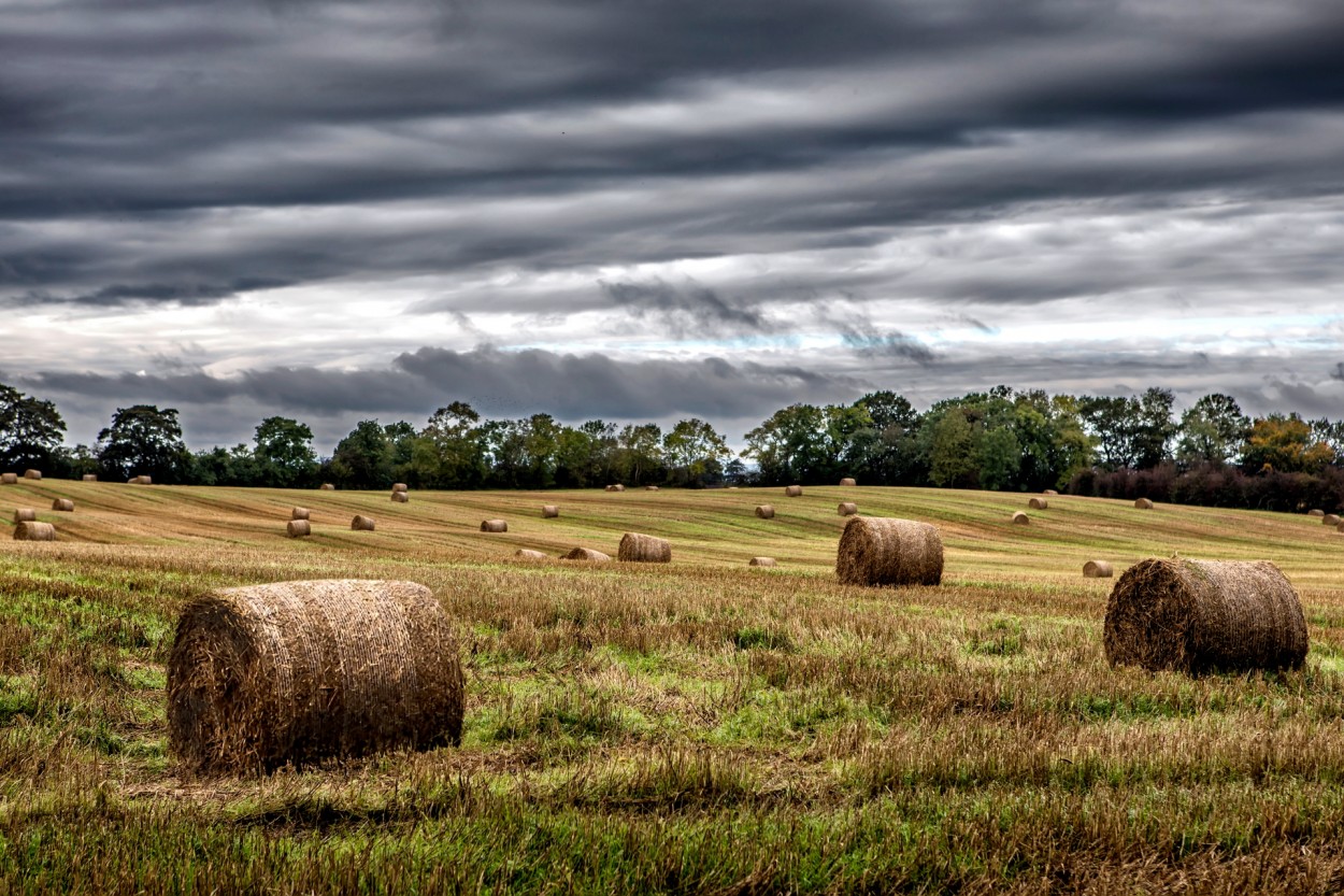 paisaje campestre en Irlanda