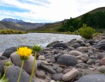 Texturas a la orilla del ro