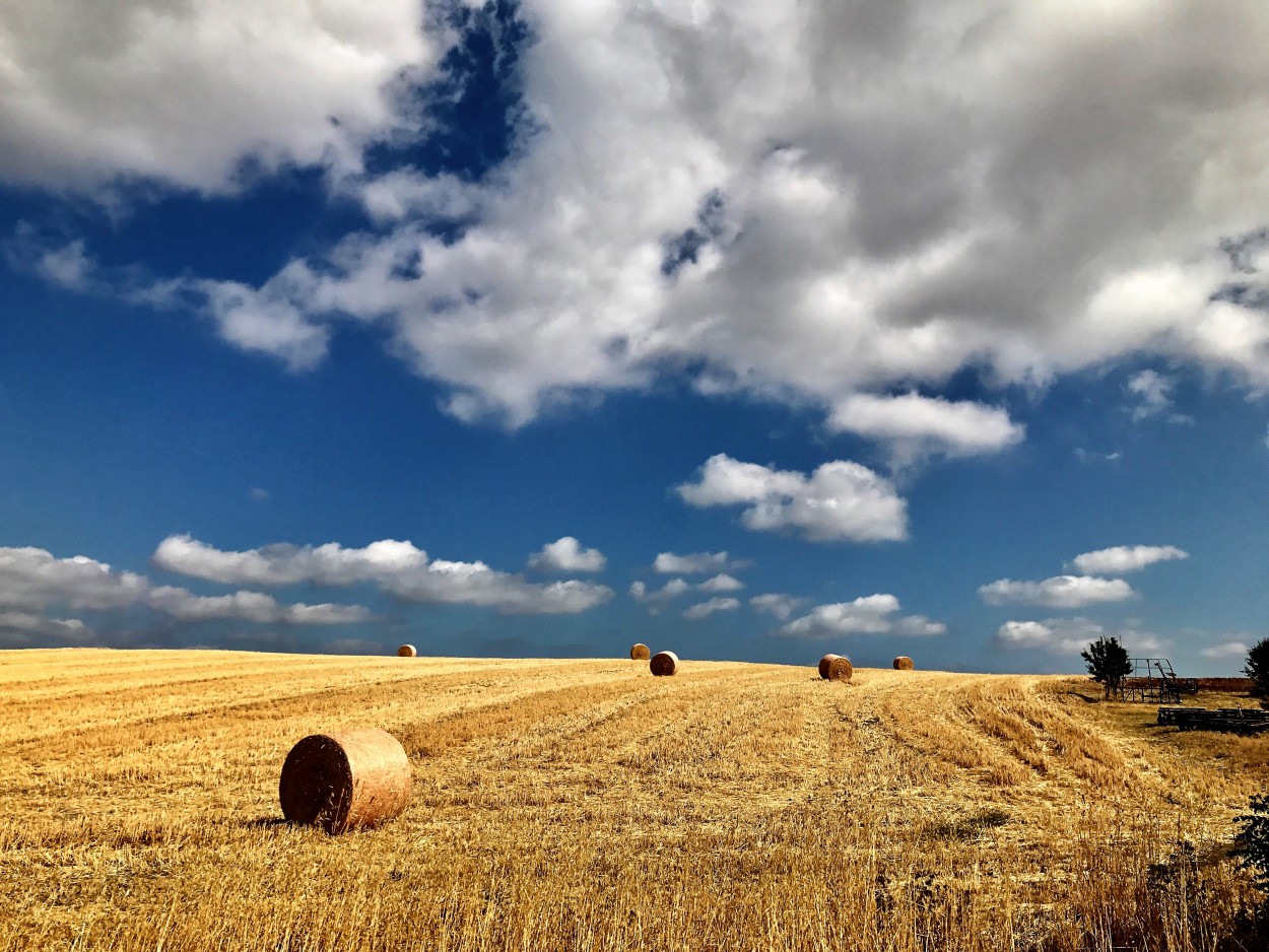 Toscana rural