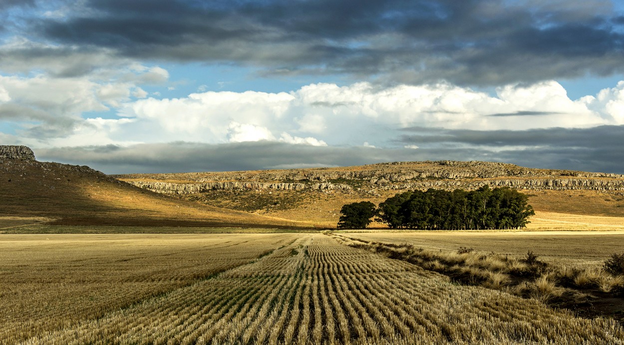 Rural Serrano